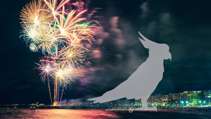 Scared Parrot During Fireworks