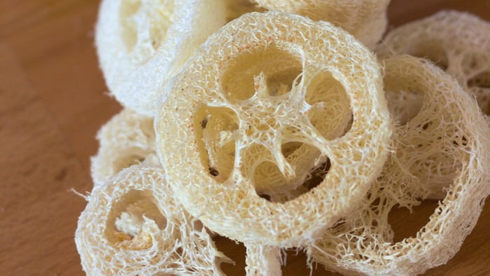 Dried Loofah
