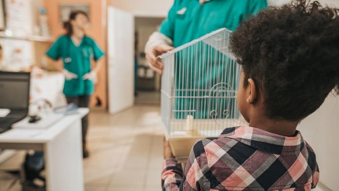 Avian vet