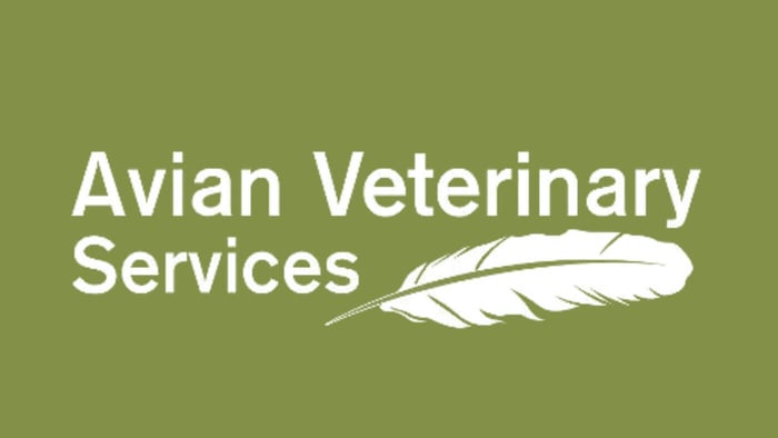 Avian Veterinary Services Logo