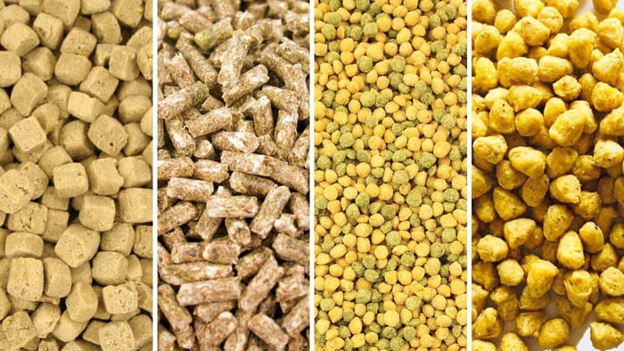 Parrot pellets come in various types