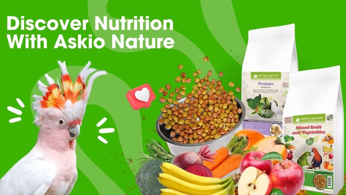 Askio Nature Parrot Foods - Discover Nutrition