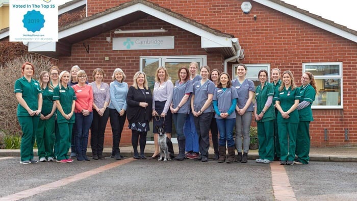 Cambridge Veterinary Group Team