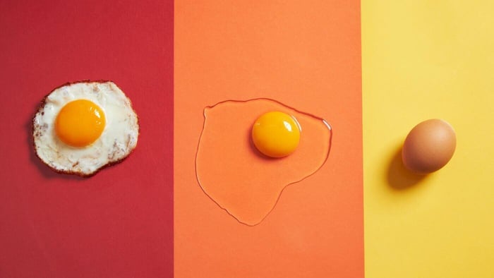Can Parrots Eat Boiled Eggs?
