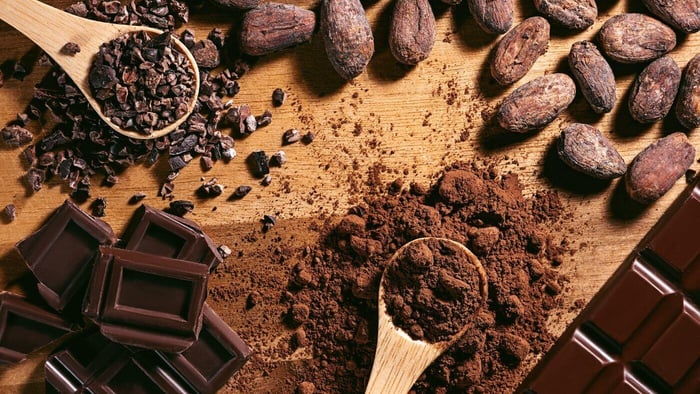 Chocolate is Toxic to Most Animals
