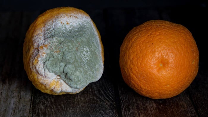 Avoid Mouldy Oranges