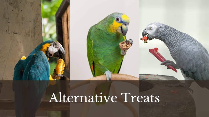 Alternative Treats for Parrots