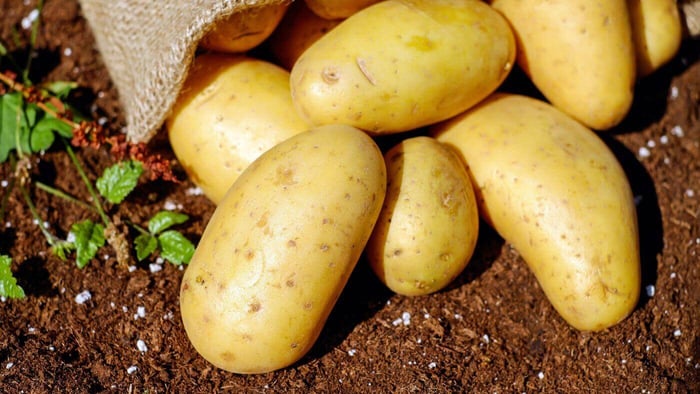 preparing potatoes for your bird
