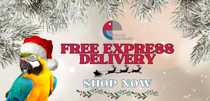 Free Express Delivery