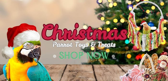Christmas Parrot Toys & Treats
