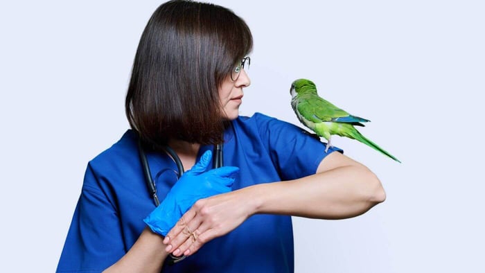 Specialised Services for Birds