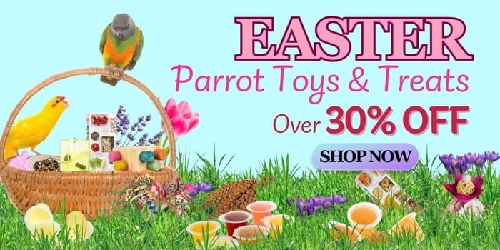 Over 30% OFF Easter Parrot Treats & Toys