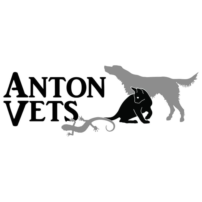 Anton Vets