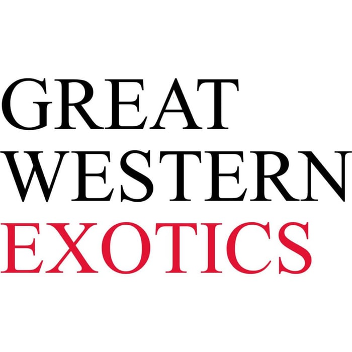 Great Western Exotic Avian Vets