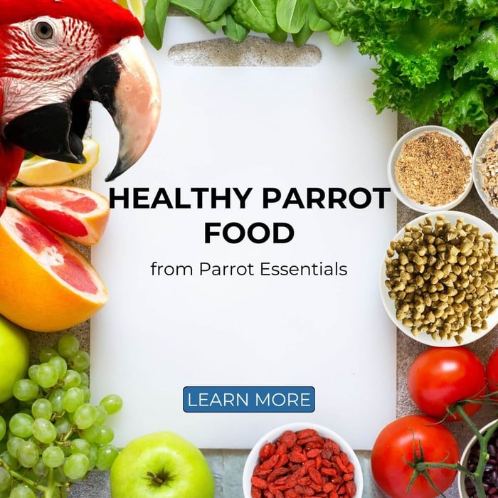 Healthy Parrot Food from Parrot Essentials