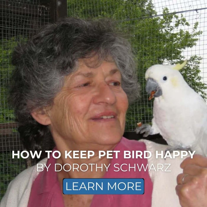 How to Keep Pet Bird Happy by Dorothy Schwarz