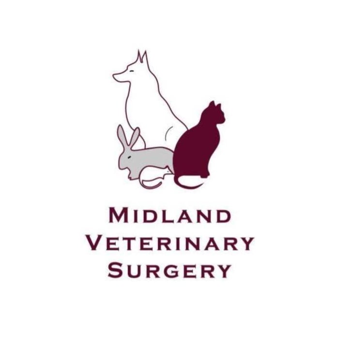 Midland Veterinary Surgery