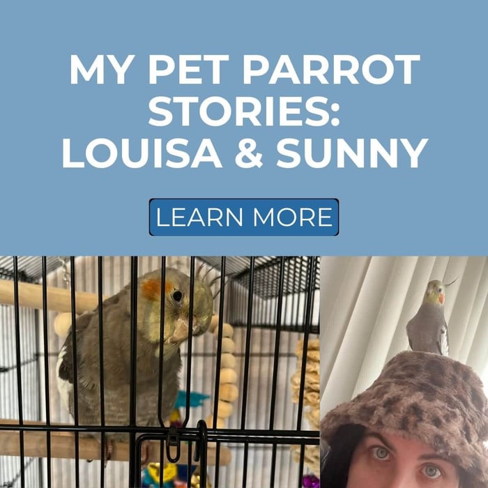 My Pet Parrot Stories: Louisa & Sunny