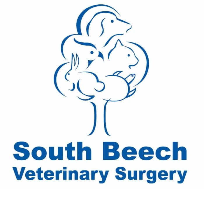 South Beech Veterinary Surgery