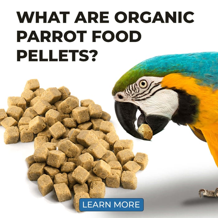What Are Organic Parrot Food Pellets?
