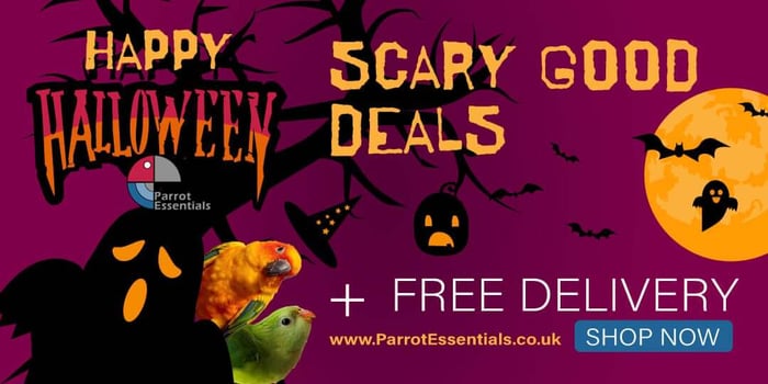 Happy Halloween from Parrot Essentials