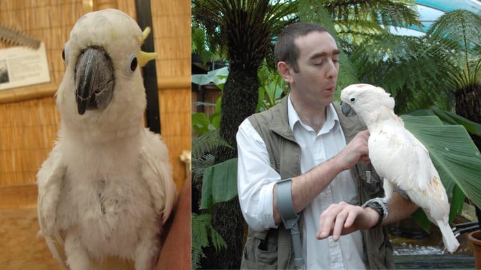 Bruce Maclean Avian Vet