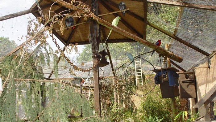 Dorothy's homemade aviary