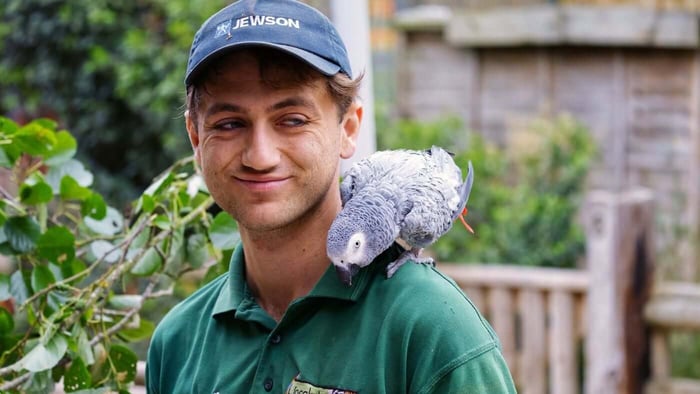 Lincolnshire Wildlife Park keeper with African Grey Parrot during parrot care and education