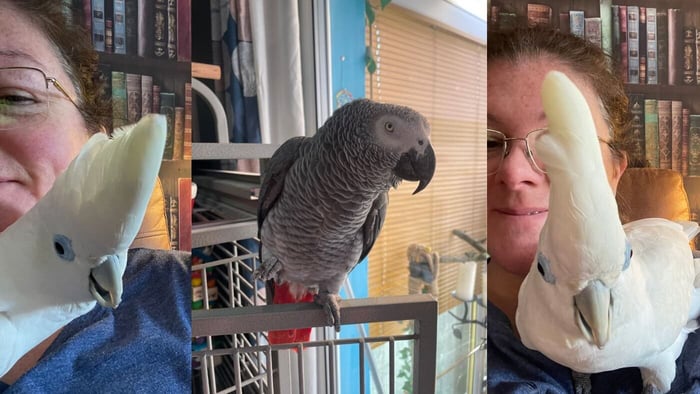 Marie, Elvis & Peaches