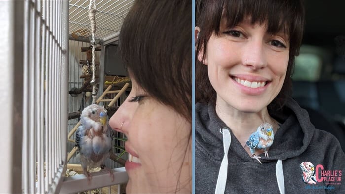 Sian and Charlie's Legacy in the Face of Charlie's Place UK