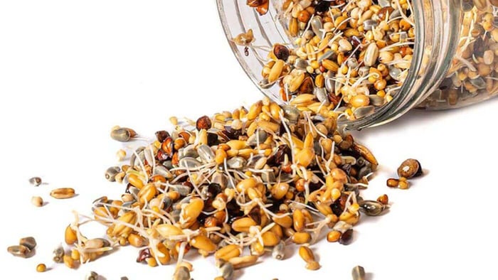 Sprouted Seeds