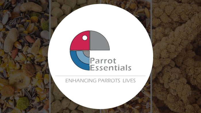 Incorporating Parrot Essentials into Your Parrot Diet