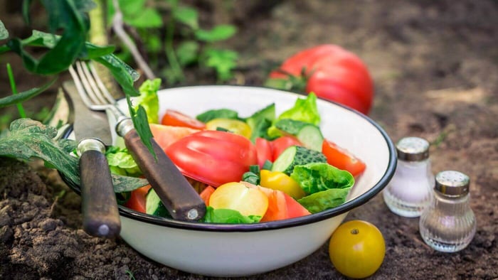 Wild Foods From Countryside Gardens