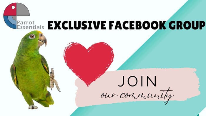 Exclusive Parrot Essentials Facebook Group
