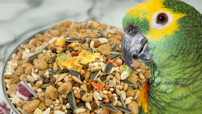 Parrot Essentials Sensible Seed Mix for Amazon Parrots