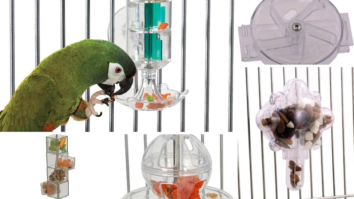 Most Popular Foraging Toys by Creative Foraging Systems