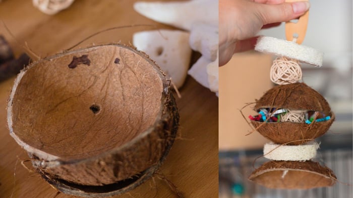 DIY Hanging coco parrot foraging toy