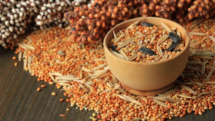 Parrot seed mix with millet, grains and sunflower seeds for a balanced parrot diet