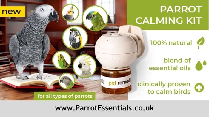 Parrot Essentials Pet Remedy Parrot Calming Kit