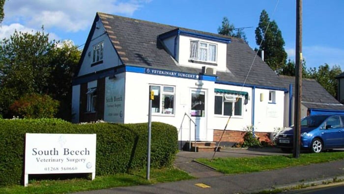 South Beech Veterinary Surgery Clinic