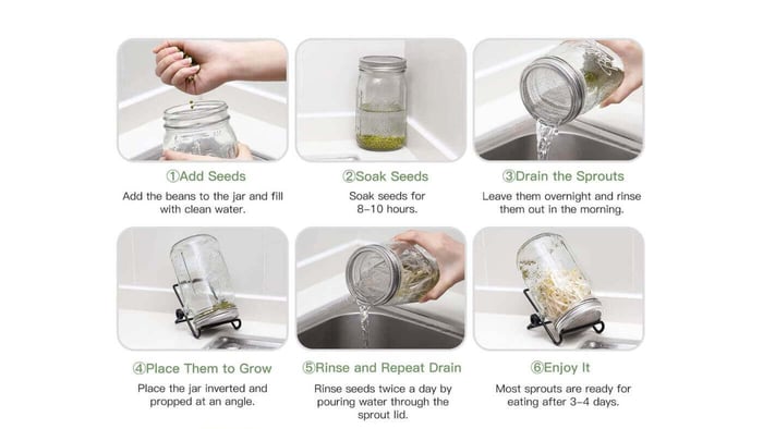 How to Sprout Seeds for Parrots