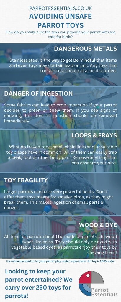 Dangers of toys for parrots