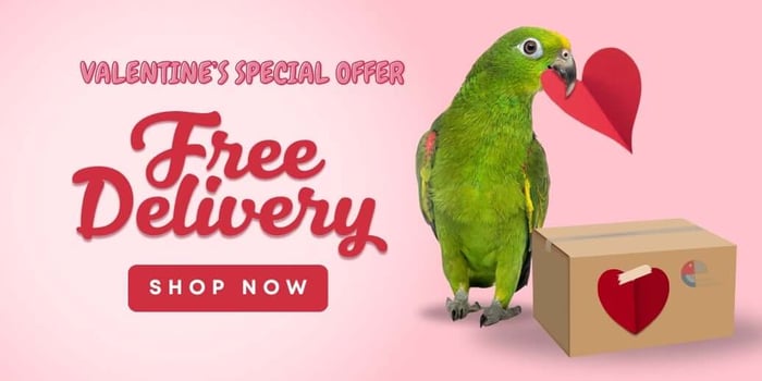 Valentine's Free Delivery