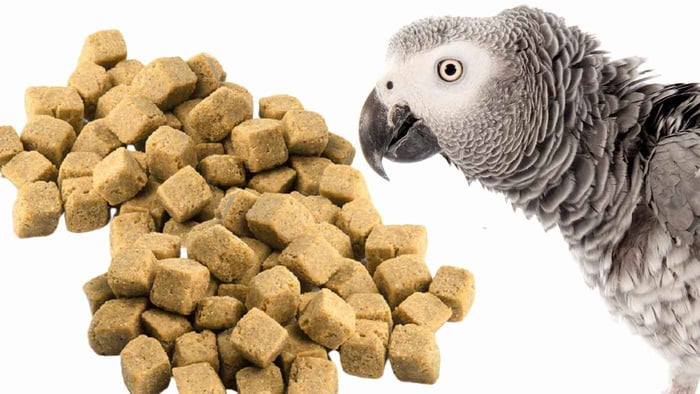 African Grey and Harrison's Pellets