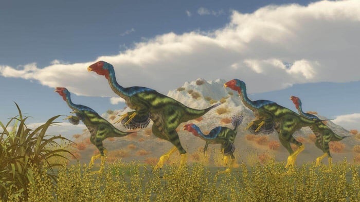 Genetic Insights into Parrot Evolution