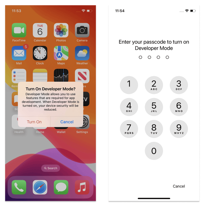 what is dev mode on iphone