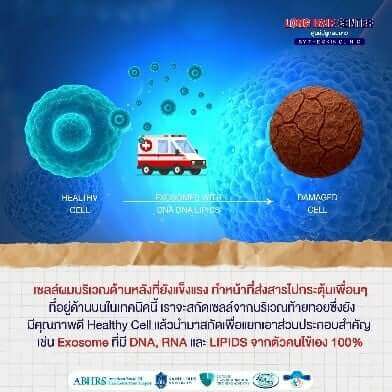 Hair Transplant, คลินิกปลูกผม 