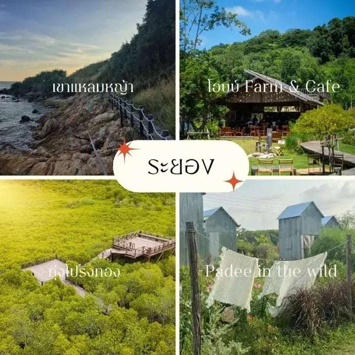 เจ้าสาวคนไหนอยากได้ความเงียบสงบแต่ก็อยากได้วิวทะเลเชิญทางนี้ค่า ระยอง หนึ่งในจังหวัดติดทะเลตั้งอยู่ทางภาคตะวันออกของประเทศไทย เป็นทะเลที่ค่อนข้างเงียบสงบเมื่อเทียบกับพัทยาและบางแสน หลายๆคนอาจจะนึกถึงแต่ทะเล แต่จริงๆแล้วระยองเองก็มีสถานที่ที่สวยและน่าสนใจไม่แพ้จังหวัดอื่นเช่นกัน วันนี้พี่ก้อยนำสถานที่น่าสนใจมา 4 ที่เป็นชอยส์ให้คู่บ่าวสาวได้ตัดสินใจไปถ่ายรูป Pre-Wedding กันค่ะ