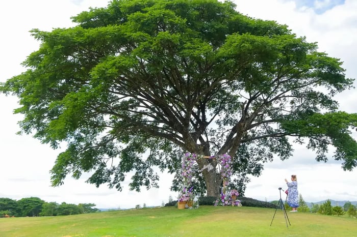 Choose the Right Location