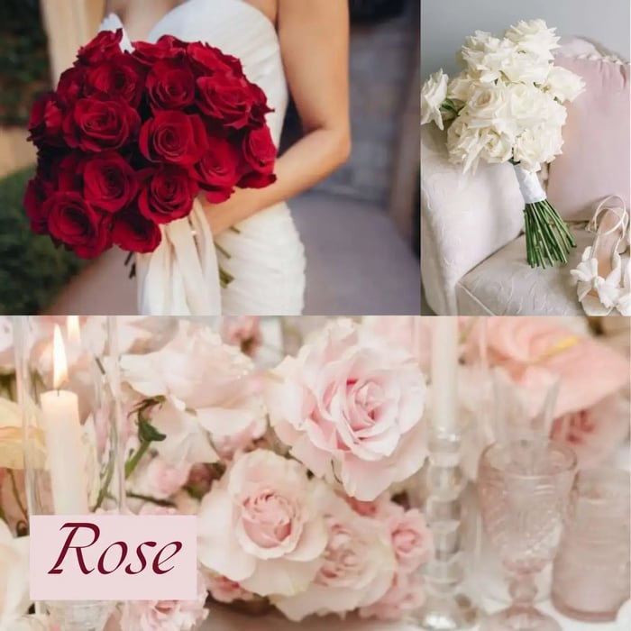 5 ดอกไม้ในวันแต่งงาน ที่มาพร้อมความสวยงามและความหมายดีๆ